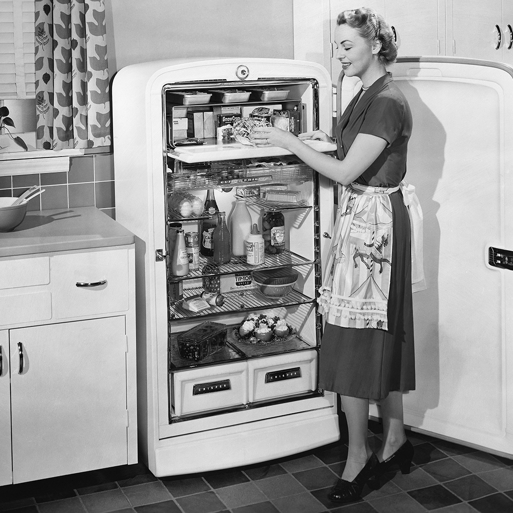 Холодильник роза лев финский фото 1958 год